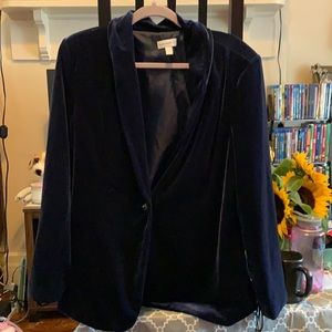 Susan graver velvet blue set
